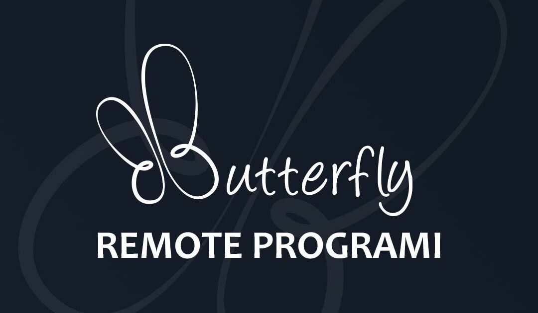 Programi za remote pristup